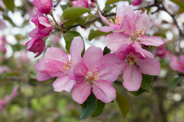 Similar image 11452095