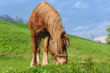 Similar image 11452115