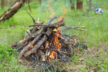 Similar image 11452116