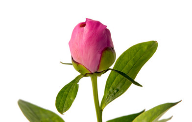 Similar image 11457266