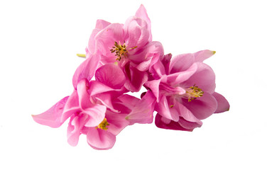 Similar image 11457274