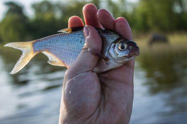 Similar image 11457821