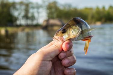 Similar image 11457823