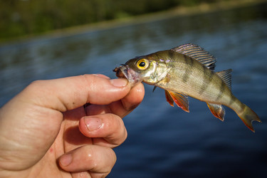 Similar image 11457826