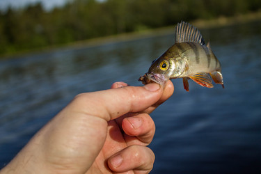 Similar image 11457827