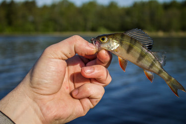 Similar image 11457828