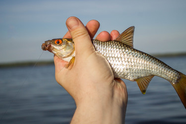 Similar image 11457831