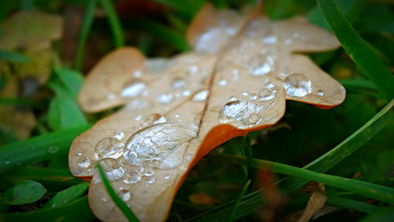 Similar image 11457338