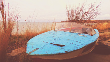 Similar image 11457341