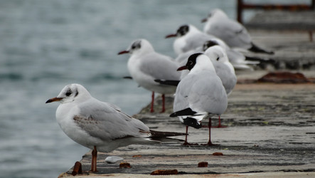 Similar image 11457537