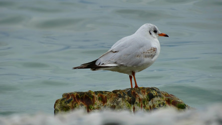 Similar image 11457541