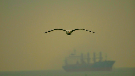 Similar image 11457543