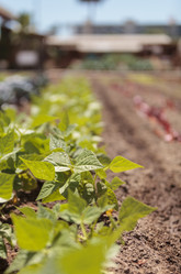 Similar image 11452360