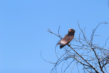 Similar image 11452362