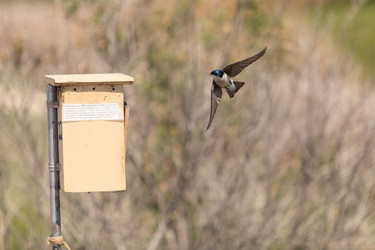 Similar image 11457642