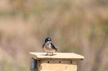 Similar image 11457625