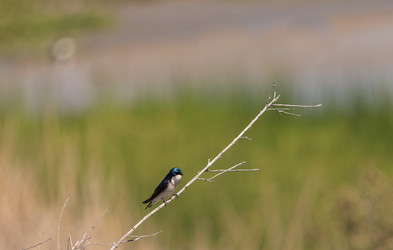 Similar image 11457626