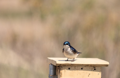 Similar image 11457627