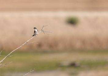 Similar image 11457661