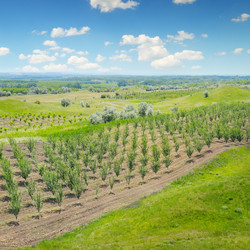 Similar image 11457485