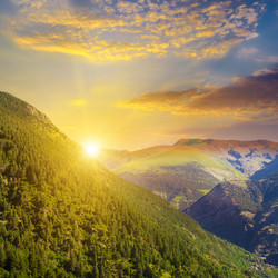 Similar image 11457490