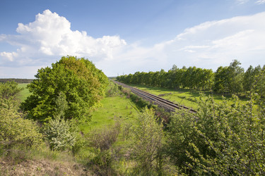 Similar image 11458937