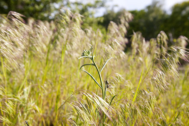 Similar image 11458938