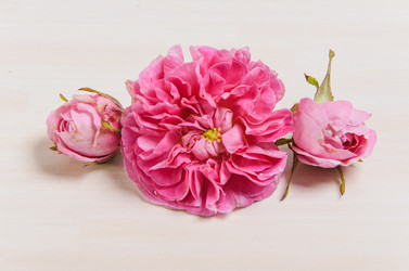 Similar image 11457521