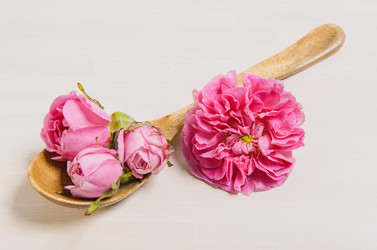 Similar image 11457522