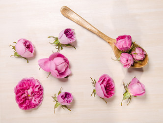 Similar image 11457523