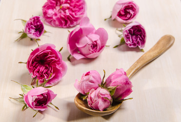 Similar image 11457524