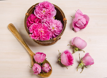 Similar image 11457526