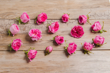 Similar image 11457528