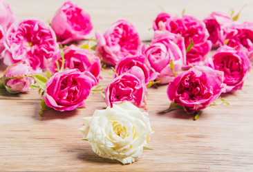 Similar image 11457547