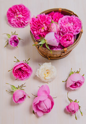 Similar image 11457553