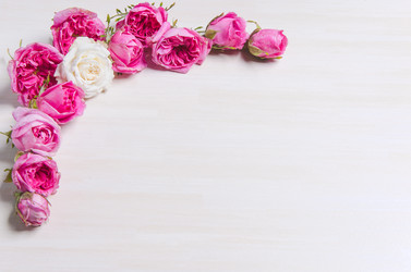 Similar image 11457555