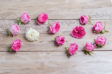 Similar image 11457558