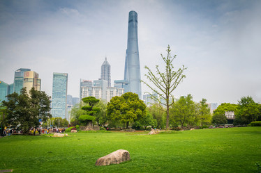 Similar image 11451925