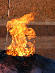 Similar image 11457504