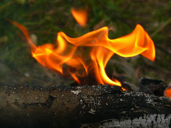 Similar image 11457505