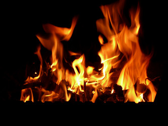 Similar image 11457507