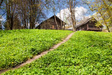 Similar image 11457599