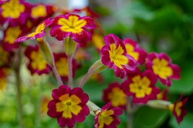 Similar image 11452577