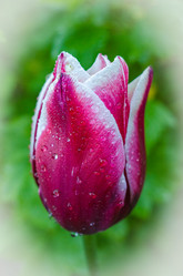 Similar image 11452579