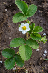 Similar image 11452596