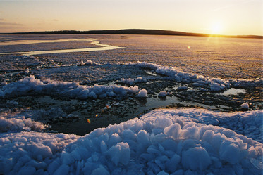 Similar image 11451897