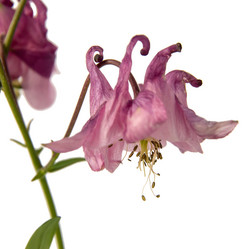 Similar image 11460806