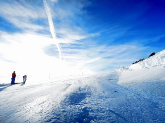 Similar image 11457910