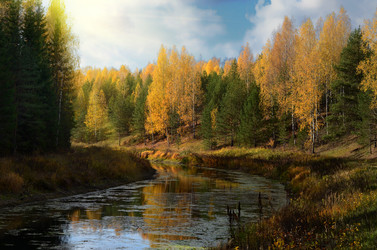 Similar image 11461307