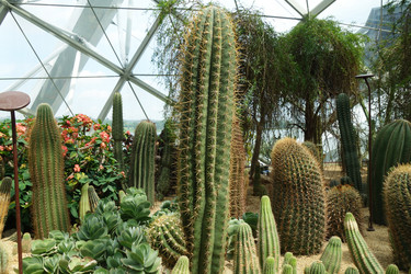 Similar image 11459394